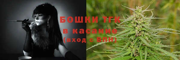 дживик Дмитров